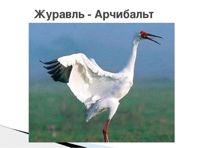 Презентация о журавлях к празднику "День птиц"