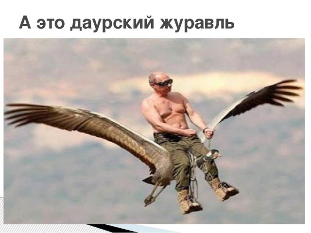 Презентация о журавлях к празднику "День птиц"