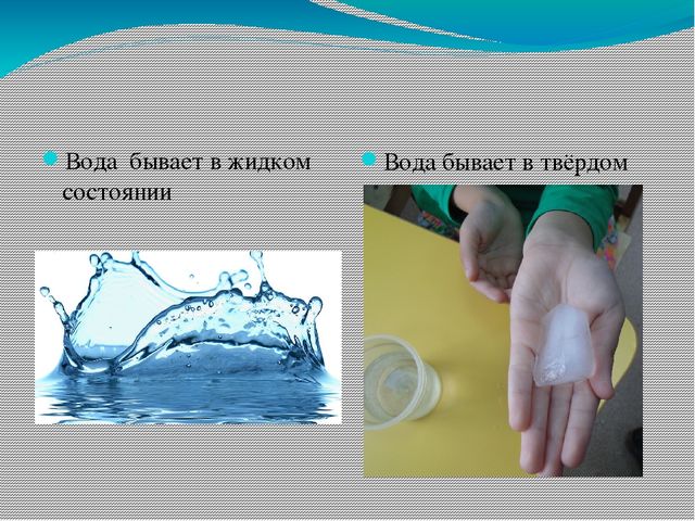 Краткосрочный исследовательский проект в старшей группе