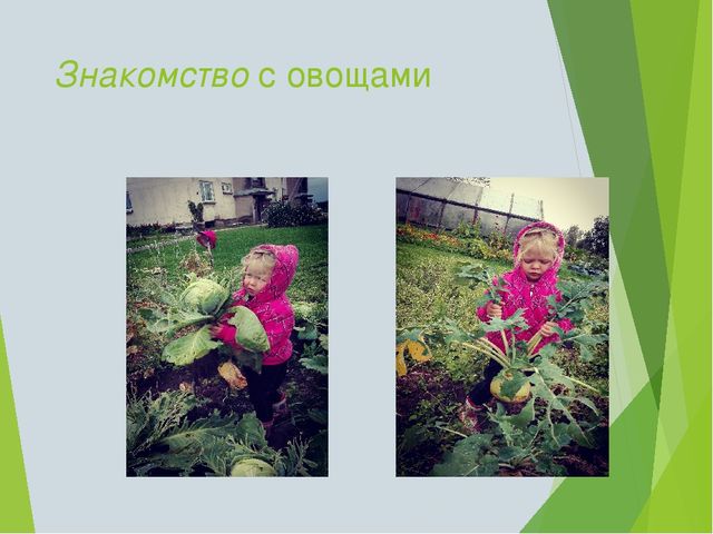 Презентация по теме "Овощные фантазии"