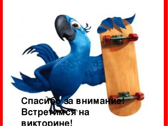 Презентация "Попугай -это интересно"