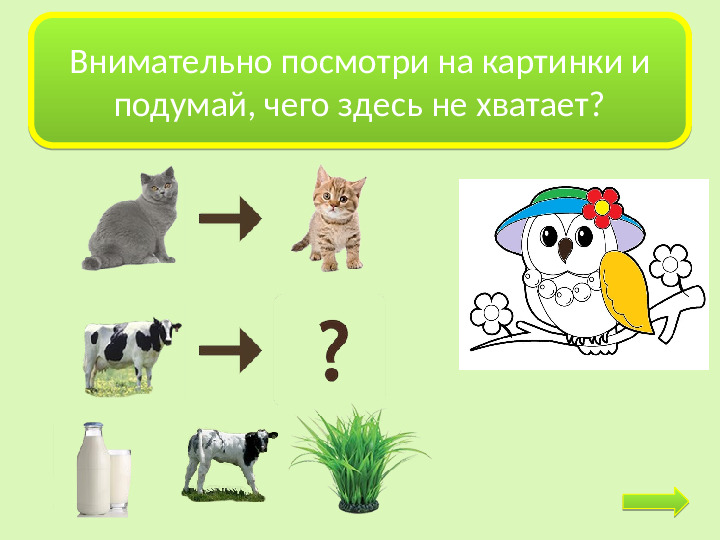 Интерактивная игра-раскраска "Мудрая сова"