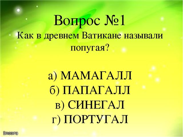 Викторина "Ах эти удивительные птицы" (Экзотические птицы-попугаи)