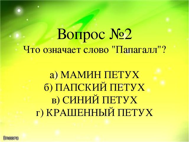 Викторина "Ах эти удивительные птицы" (Экзотические птицы-попугаи)