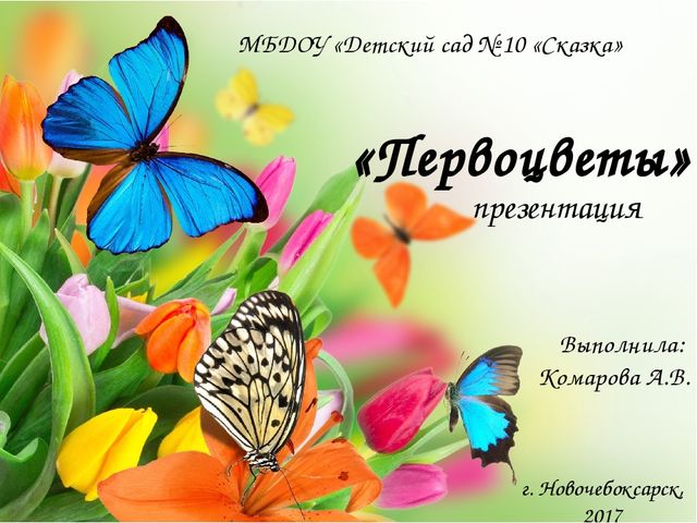 Презентация по познавательному развитию "Первоцветы"