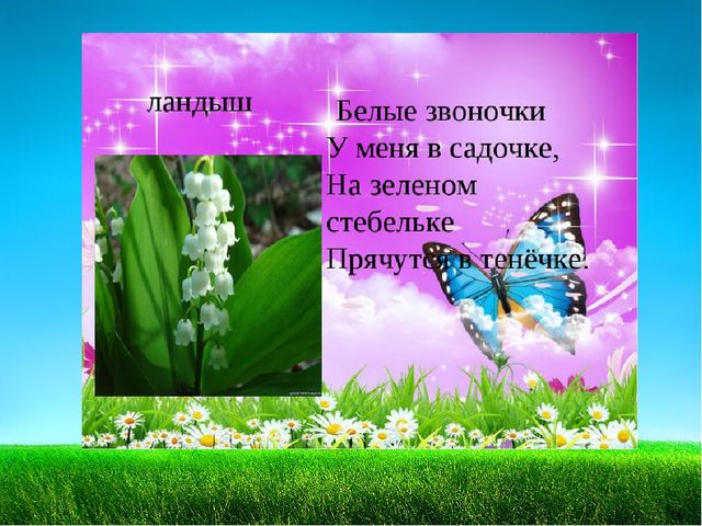 Презентация по познавательному развитию "Первоцветы"