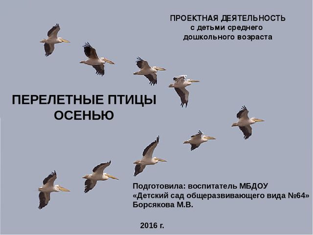 ООД средней группе ДОУ "Перелетные птицы осенью"