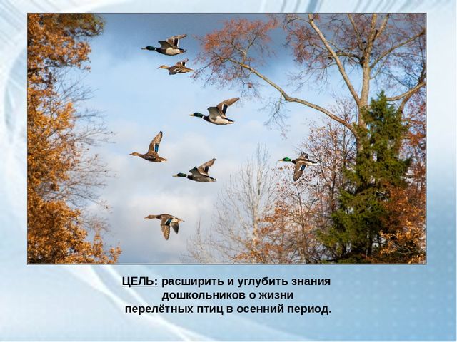 ООД средней группе ДОУ "Перелетные птицы осенью"