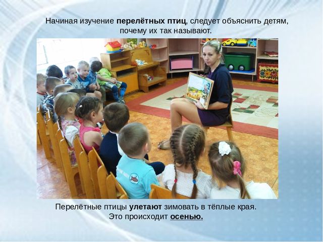 ООД средней группе ДОУ "Перелетные птицы осенью"