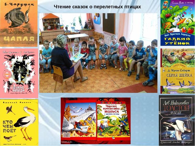 ООД средней группе ДОУ "Перелетные птицы осенью"