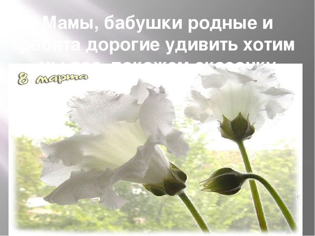 Презентация на тему "Музыкально-театрализованная деятельность в детском саду"