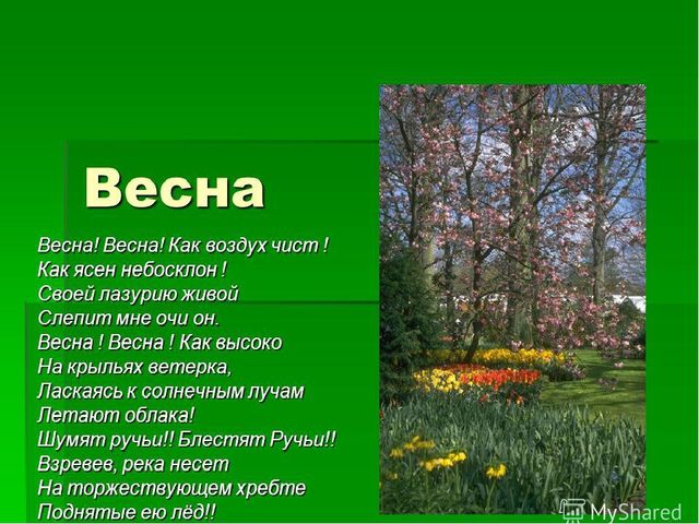 Презентация по дошкольному образованию на тему "Весна-красна"