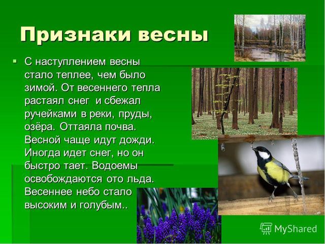 Презентация по дошкольному образованию на тему "Весна-красна"