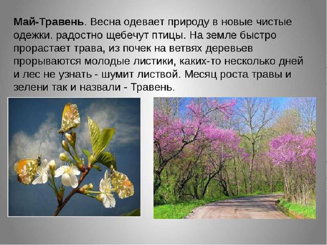 Презентация по дошкольному образованию на тему "Весна-красна"