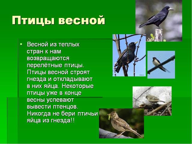 Презентация по дошкольному образованию на тему "Весна-красна"