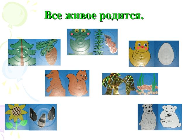 «Инновационные формы познавательно – речевого сотрудничества детей и родителей»