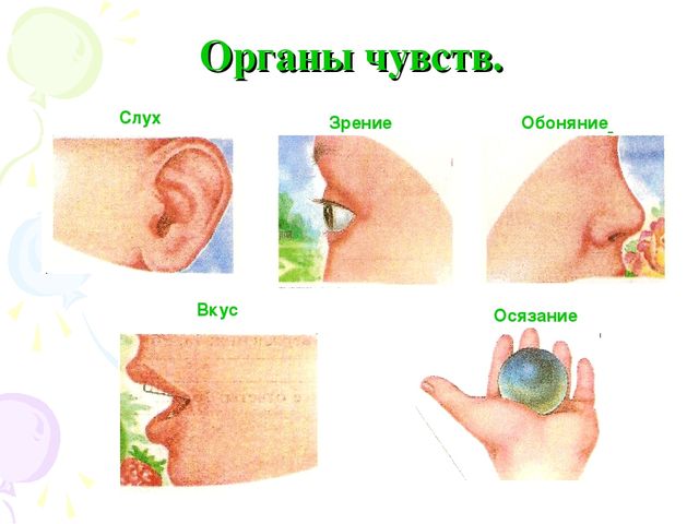 «Инновационные формы познавательно – речевого сотрудничества детей и родителей»