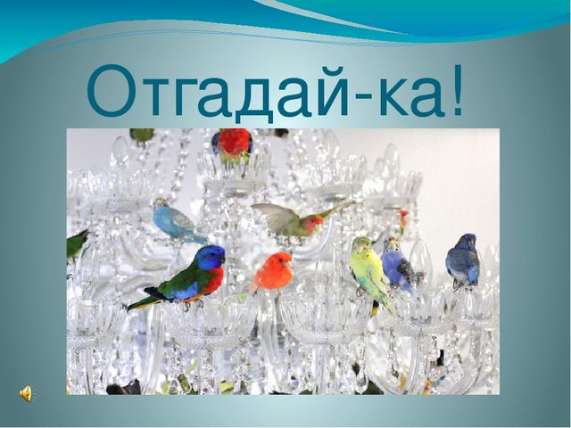 Презентация для детей 3-7 лет "Кто это?"