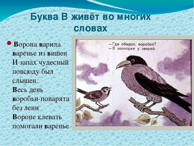 Презентация по обучению грамоте на тему "Буква В"
