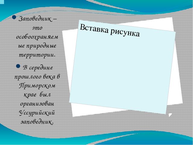 Презентация по окружающему миру на тему "Уссурийский заповедник""