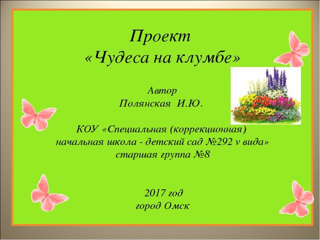 Чудеса на клумбе презентация