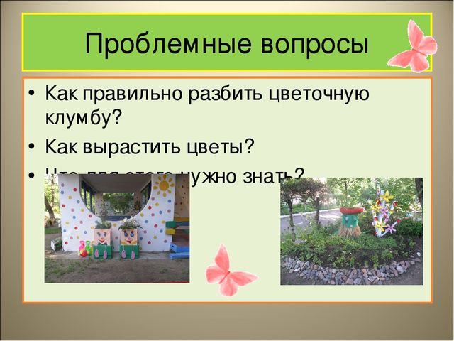 Чудеса на клумбе презентация