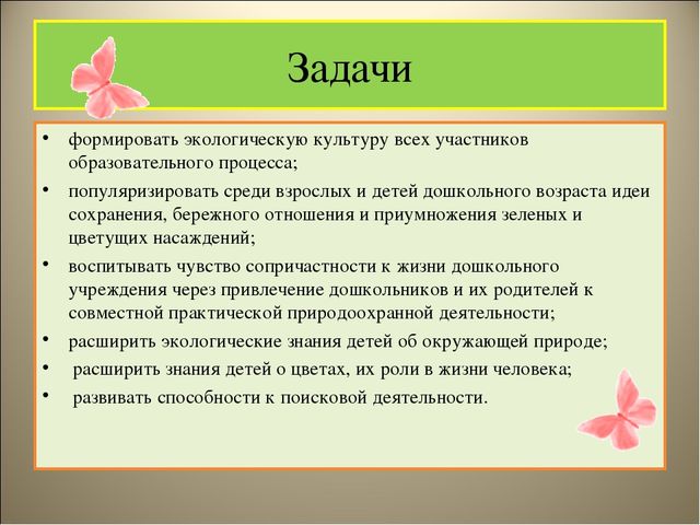 Чудеса на клумбе презентация