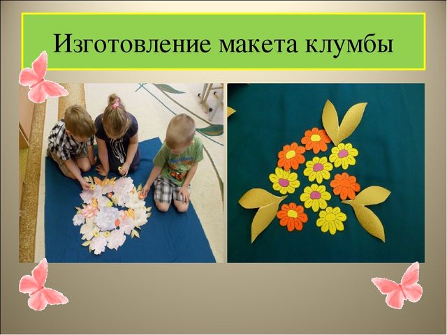 Чудеса на клумбе презентация