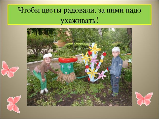 Чудеса на клумбе презентация