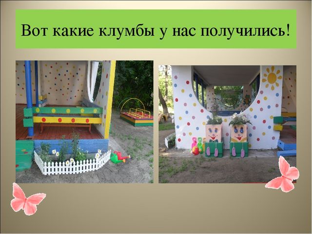 Чудеса на клумбе презентация