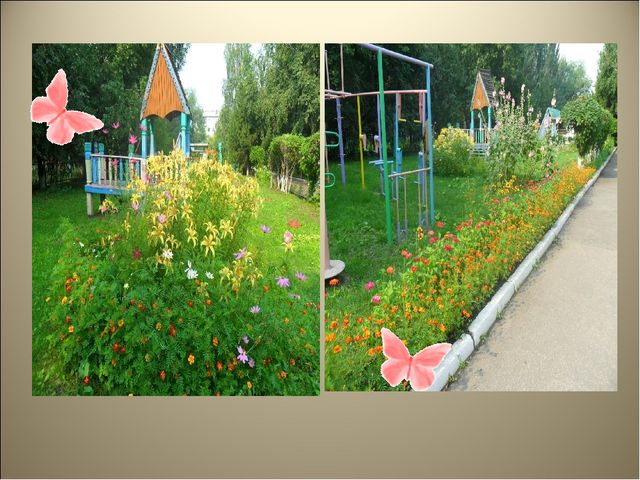 Чудеса на клумбе презентация