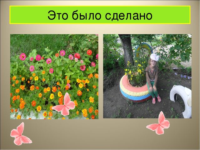 Чудеса на клумбе презентация