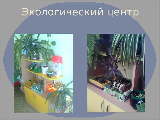 Презинтация развивающей среды в детском саду