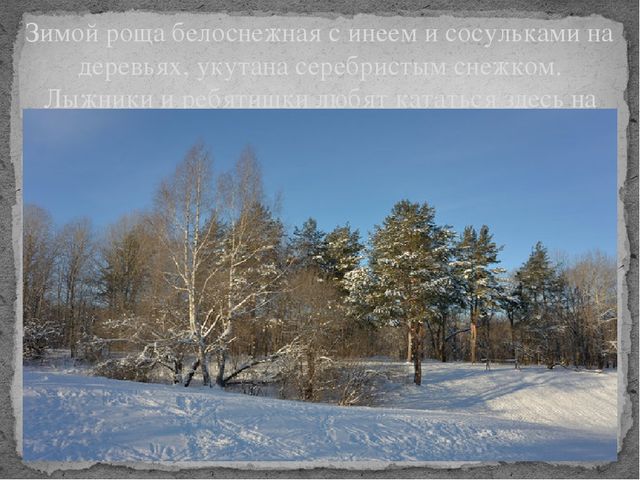 Презентация "По местам сражений во время ВОВ в Ростове-на-Дону. Роща СКА." Проект дошкольницы Галкиной Полины.