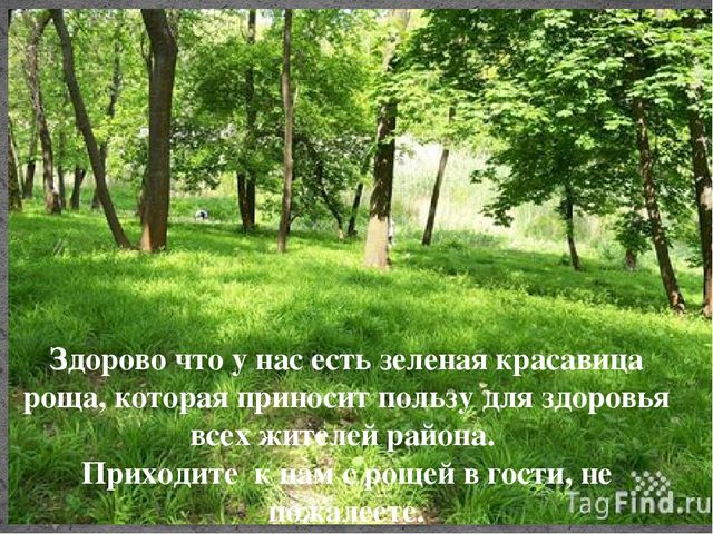 Презентация "По местам сражений во время ВОВ в Ростове-на-Дону. Роща СКА." Проект дошкольницы Галкиной Полины.