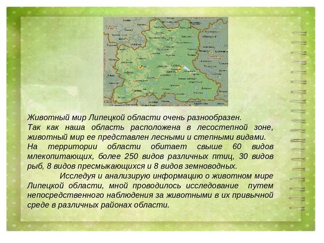 Проект воспитателя МБДОУ д/с №27 г. Ельца по теме: "Животные Липецкой области