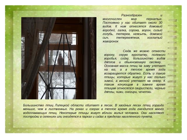 Проект воспитателя МБДОУ д/с №27 г. Ельца по теме: "Животные Липецкой области