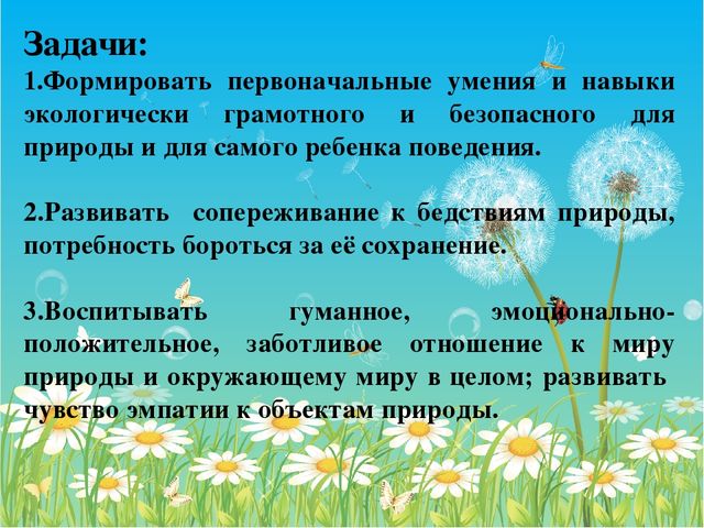 Презентация педагогического опыта воспитателя.