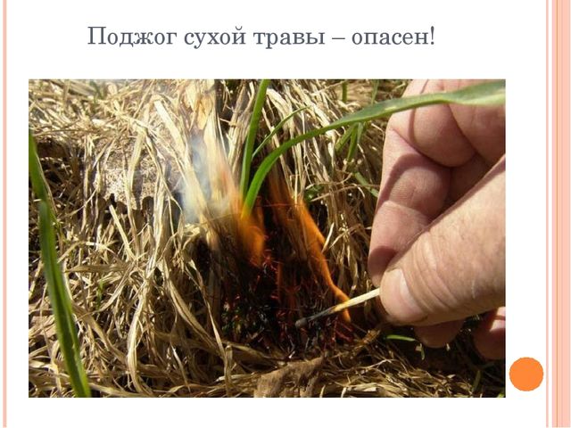 Презентация "Останови поджоги сухой травы"