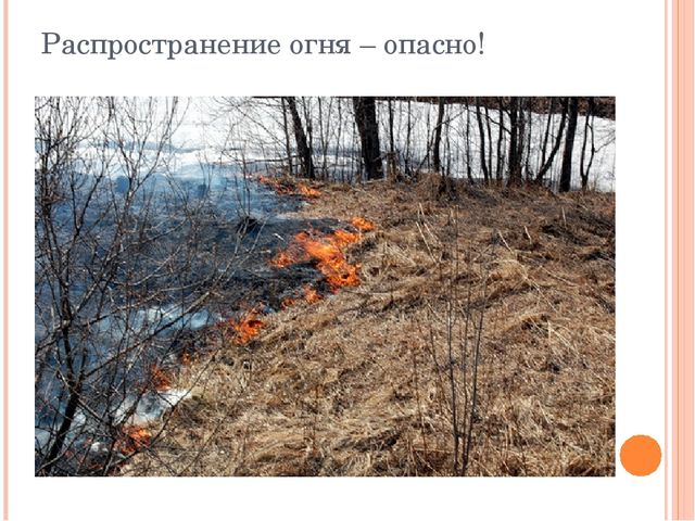 Презентация "Останови поджоги сухой травы"