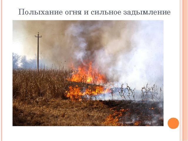 Презентация "Останови поджоги сухой травы"