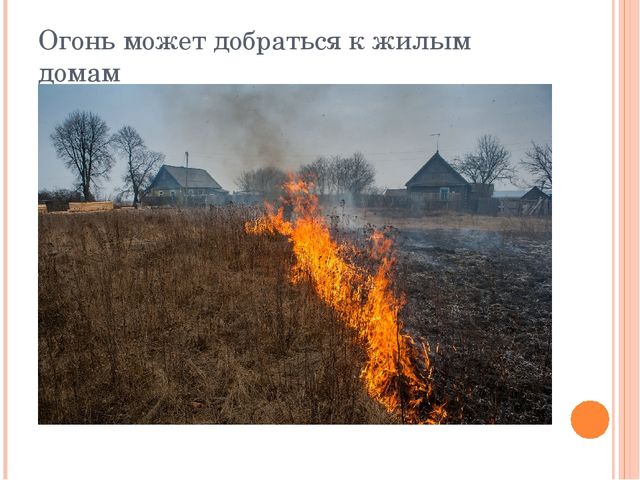 Презентация "Останови поджоги сухой травы"