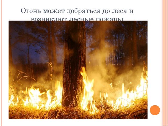 Презентация "Останови поджоги сухой травы"