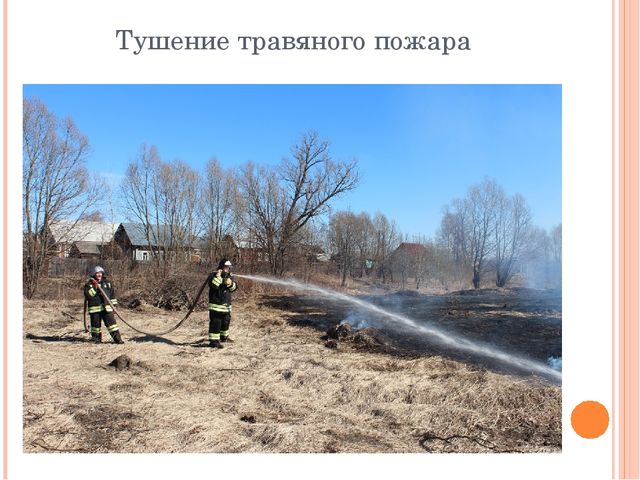Презентация "Останови поджоги сухой травы"