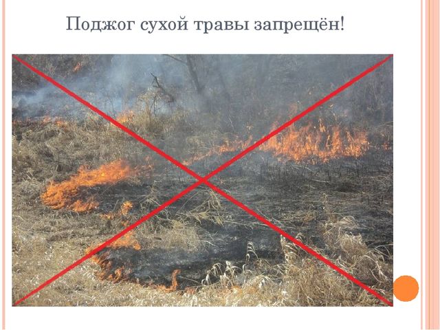 Презентация "Останови поджоги сухой травы"