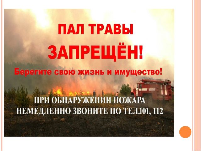 Презентация "Останови поджоги сухой травы"