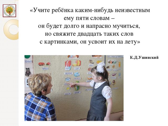 Презентация к выступлению на Областном конкурсе "Педагог года Магаданской области-2016" по теме "Использование метода глобального чтения в работе с дошкольниками со сложной структурой дефекта"