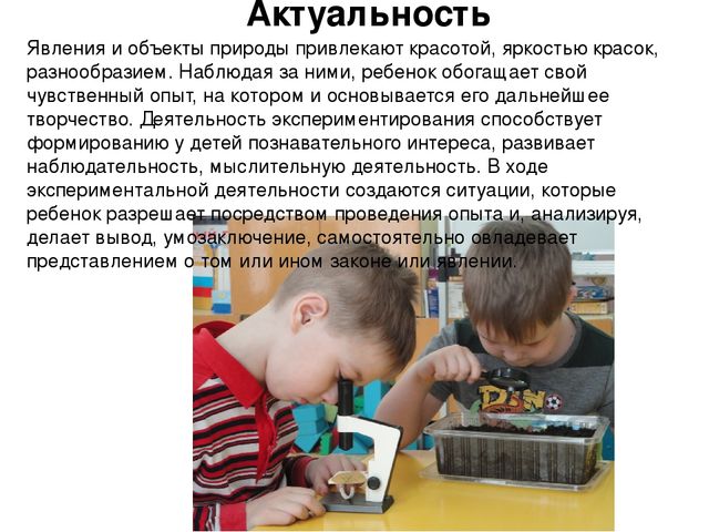 Проект на тему "Веселый огород" компенсирующая группа