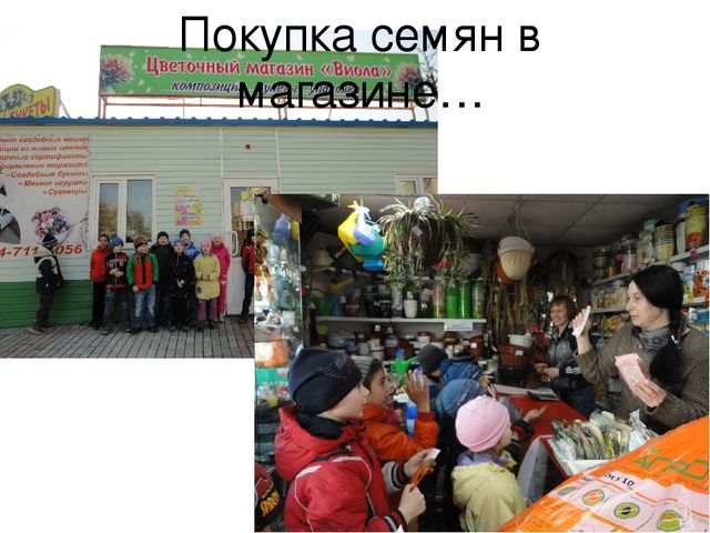 Проект на тему "Веселый огород" компенсирующая группа