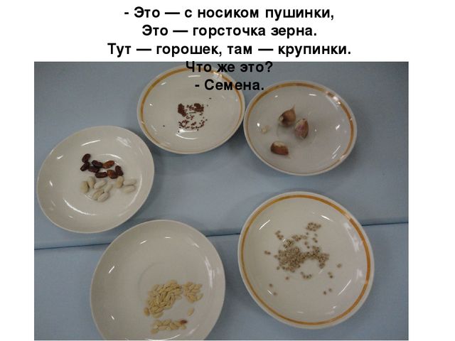 Проект на тему "Веселый огород" компенсирующая группа